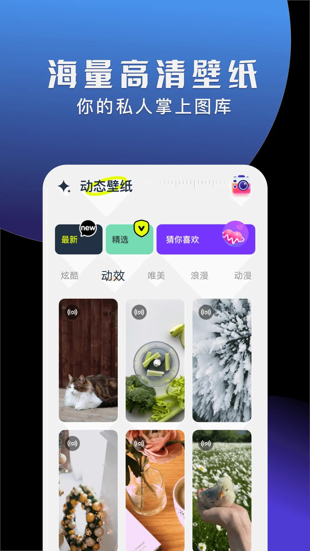 软天空软件下载(软天空软件下载大全)