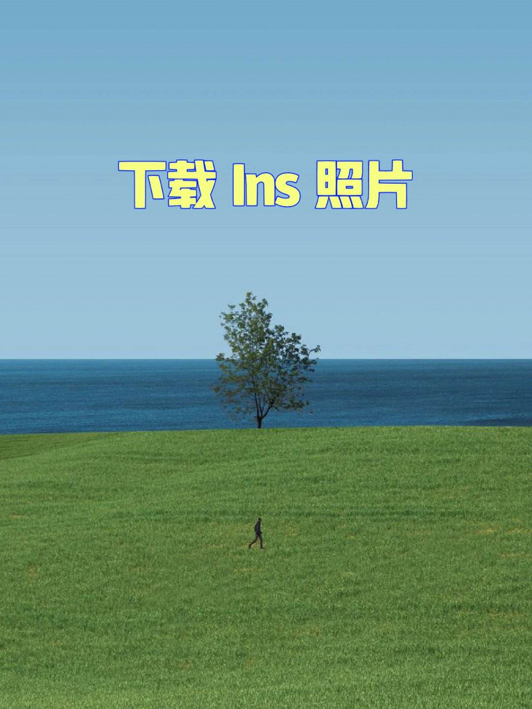 ins安卓版下载_(cyanbrains安卓版下载)
