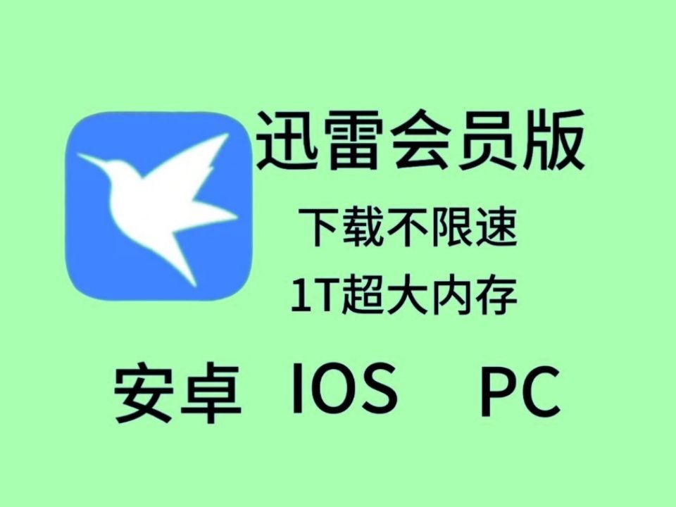 迅雷软件下载-(迅雷软件下载的文件怎么导出)