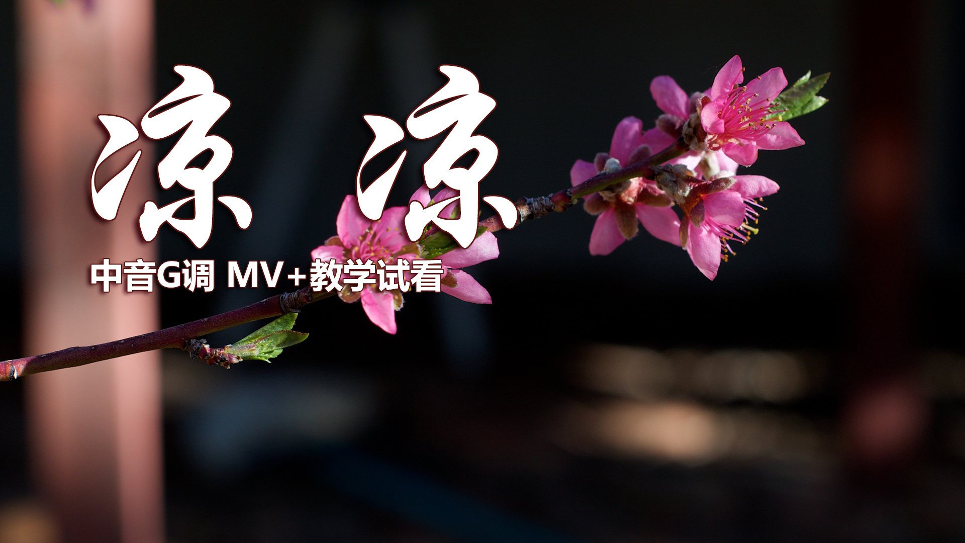 歌曲下载凉凉-(凉凉免费歌曲下载)